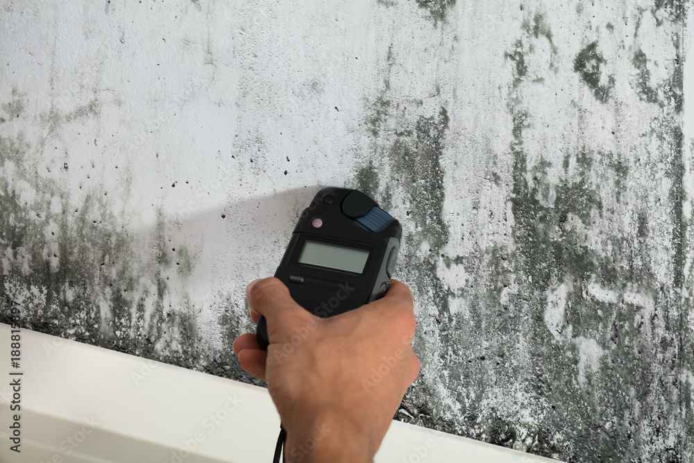 Why Mold Testing Is Important 1 Mold & Air Quality Testing